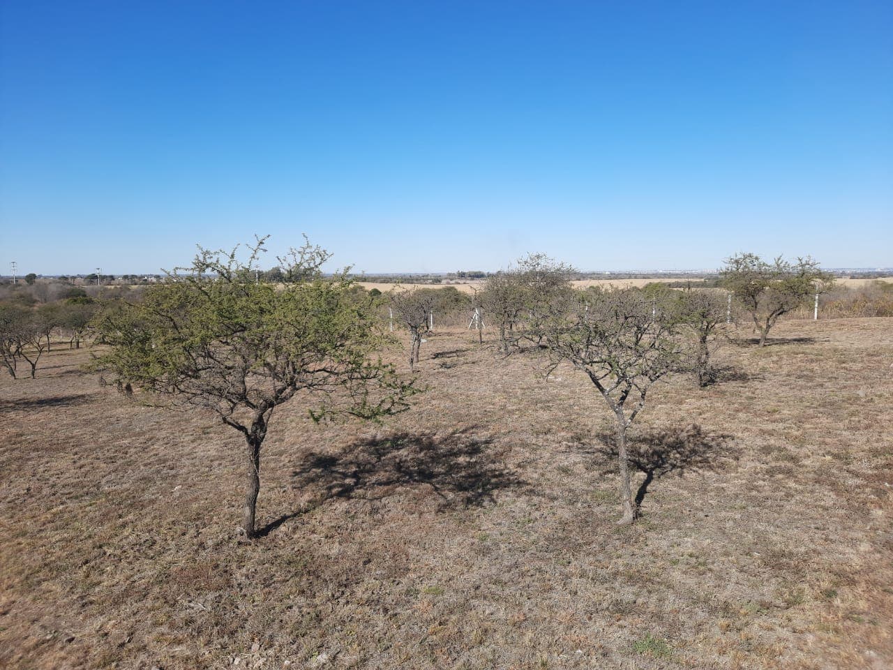 Venta LOTE en la Cercanía, Mendiolaza Córdoba - Imagen 1