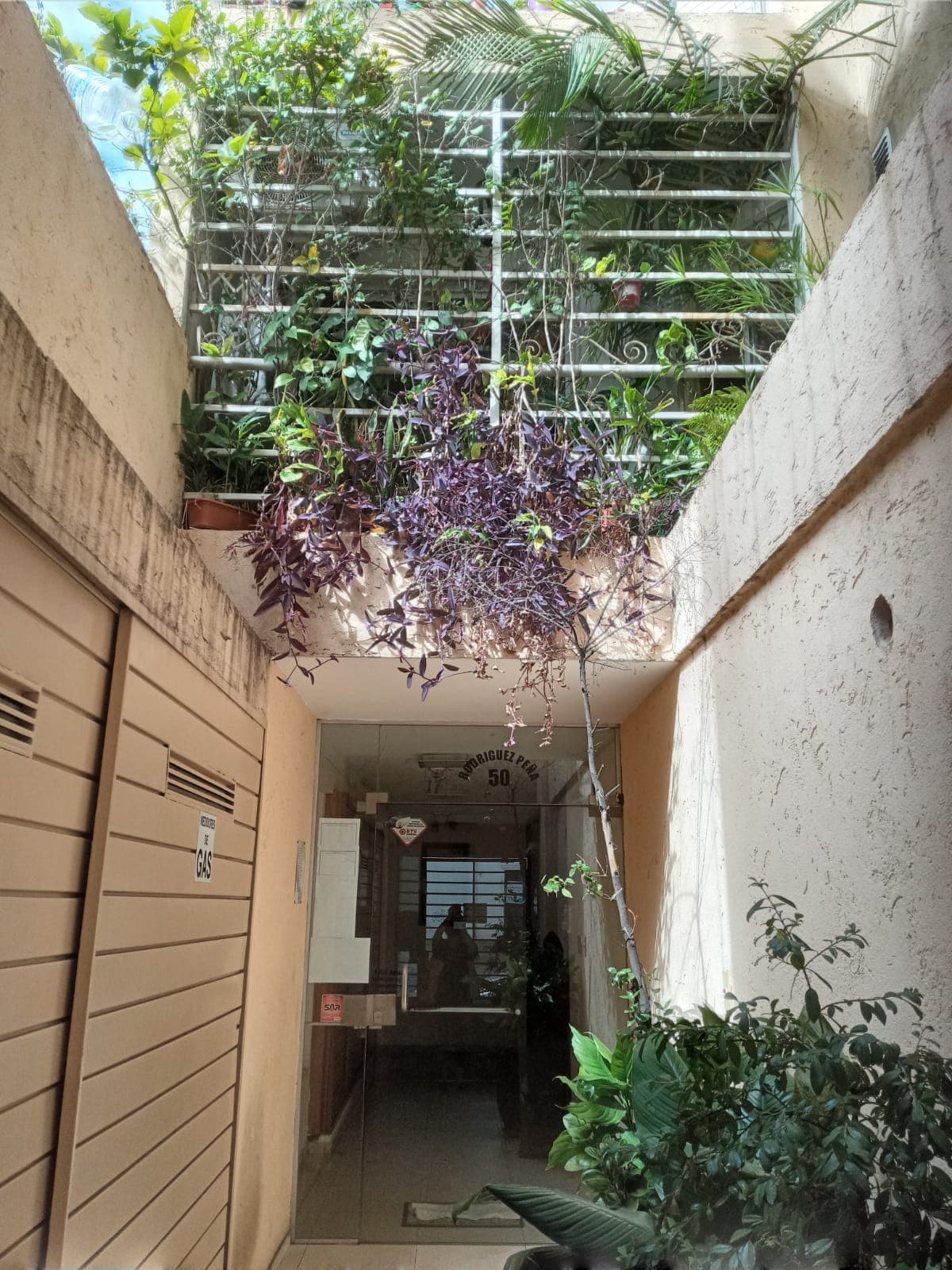 OPORTUNIDAD venta 2 DEPARTAMENTOS EN BLOQUE en Barrio Alberdi, calle Rodriguez Peña - Imagen 1