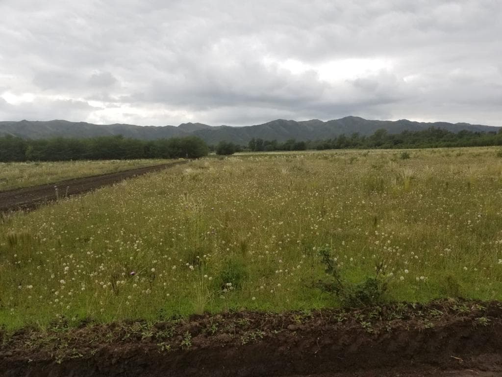 EXCELENTE VISTA A LAS SIERRAS !!! Venta LOTE en Los Reartes, ruta prov. N5 , Provincia de Cordoba ID: 3926 - Imagen 1