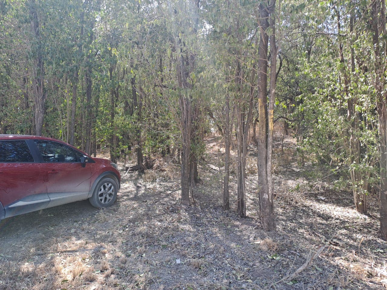 Venta LOTE en Urbanización Eco Catalina, Rio Ceballos, Pcia de Córdoba - Imagen 1