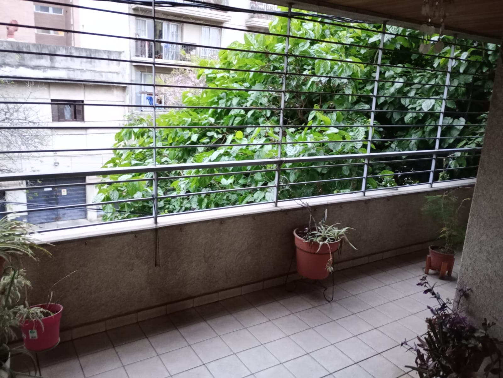 DEPARTAMENTO AMOBLADO EN ALQUILER, BARRIO GENERAL PAZ - Imagen 1