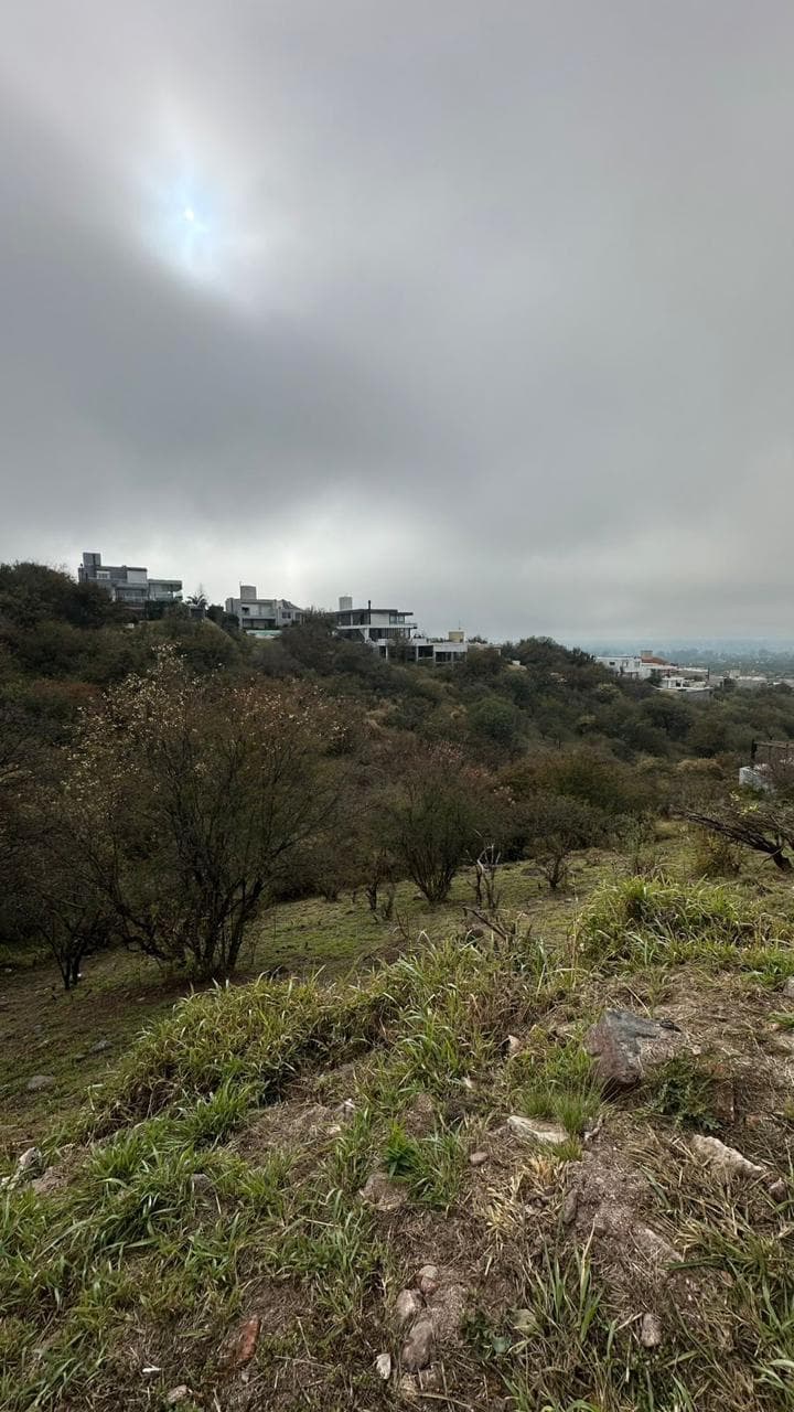 LOTES EN VENTA EN LA RUFINA - Imagen 1