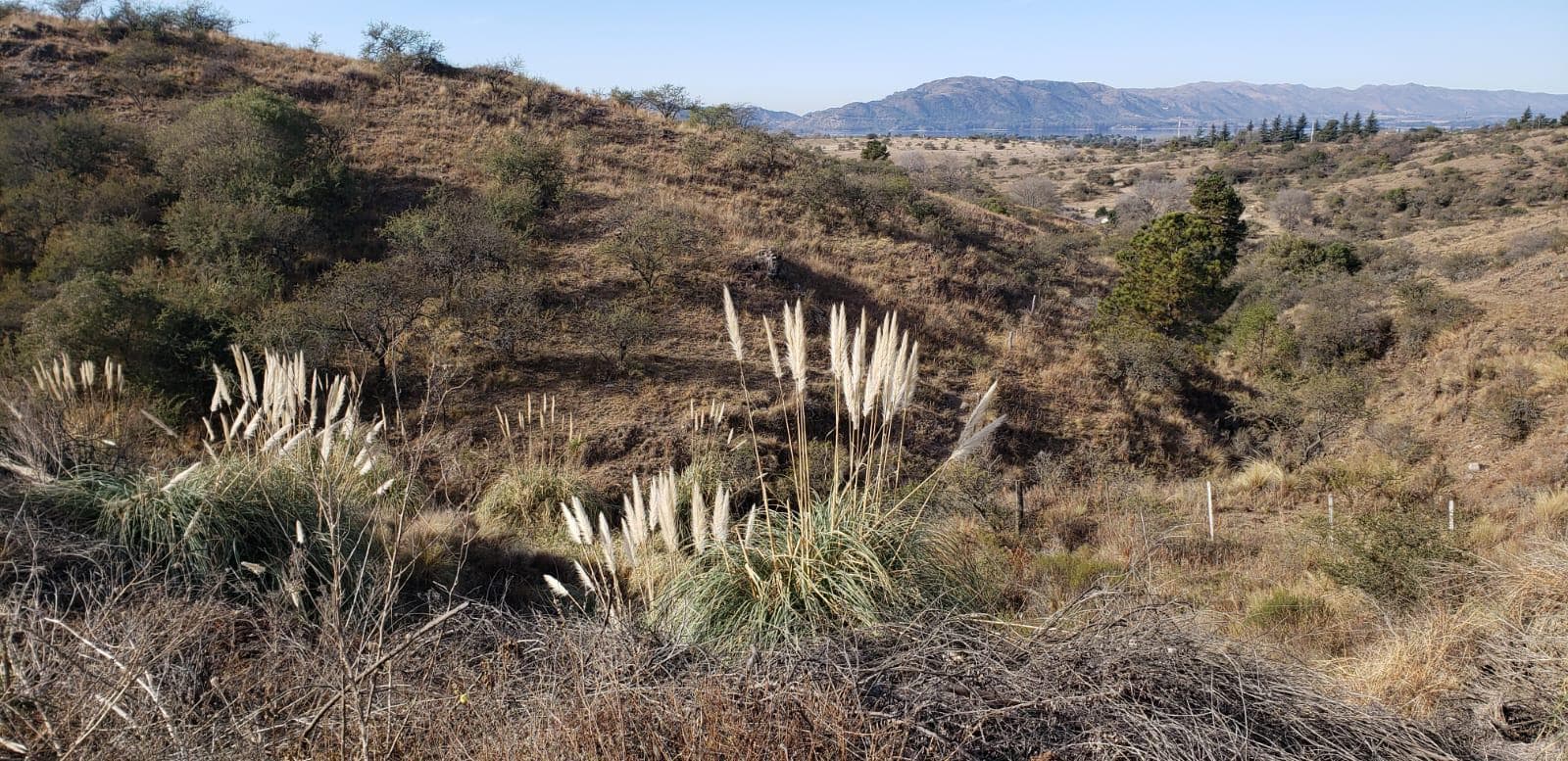 VENTA  LOTES EN POTRERO DE GARAY  CÓRDOBA - Imagen 1